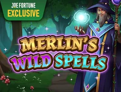 Merlin's Wild Spells