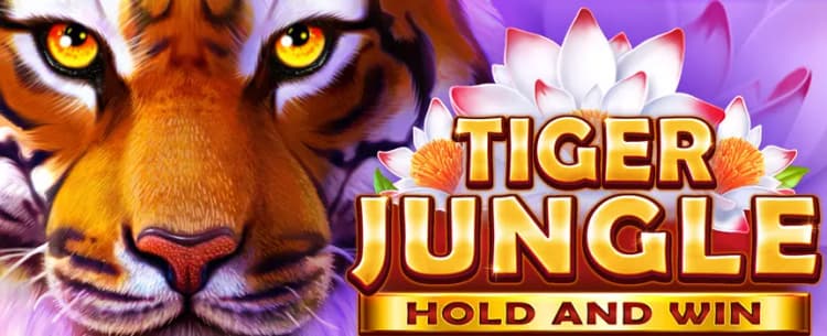 Tiger Jungle